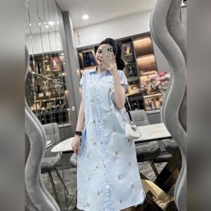 & Other Stories Light Blue Embroidered Midi Dress